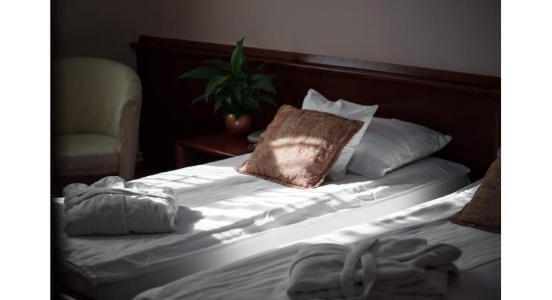 Garni Hotel Vila Milord Resort Palic Ngoại thất bức ảnh